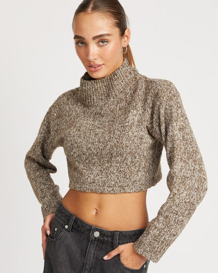 Trendy Fashion Turtle Neck Crop Sweater Top