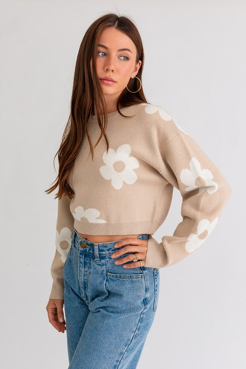 Cute Floral Daisy Pattern Long Sleeve Cropped Sweater