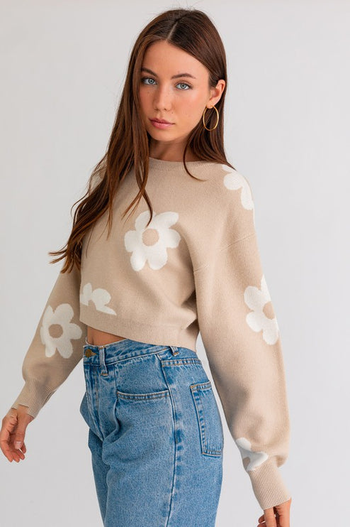 Cute Floral Daisy Pattern Long Sleeve Cropped Sweater