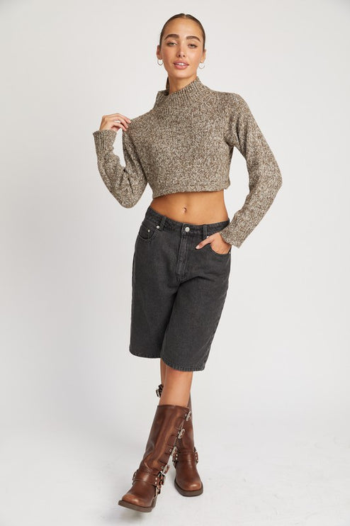 Trendy Fashion Turtle Neck Crop Sweater Top