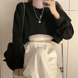 Basic Solid Stylish Streetwear Long Sleeve Loose Pullover Crop Sweatshirt Top