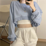 Basic Solid Stylish Streetwear Long Sleeve Loose Pullover Crop Sweatshirt Top