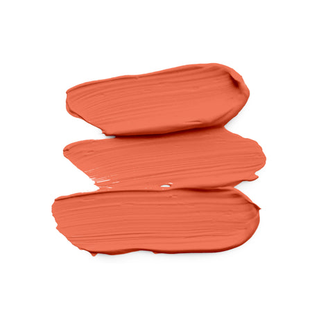 Skin Corrector Concealers