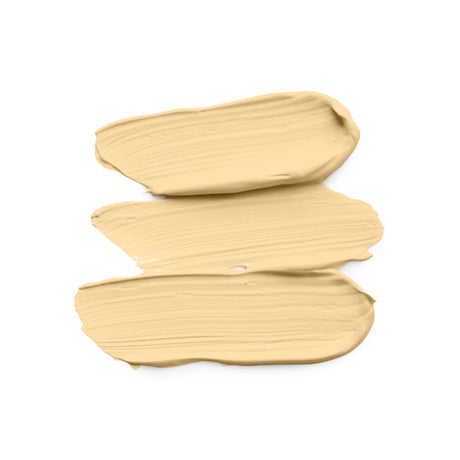 Skin Corrector Concealers