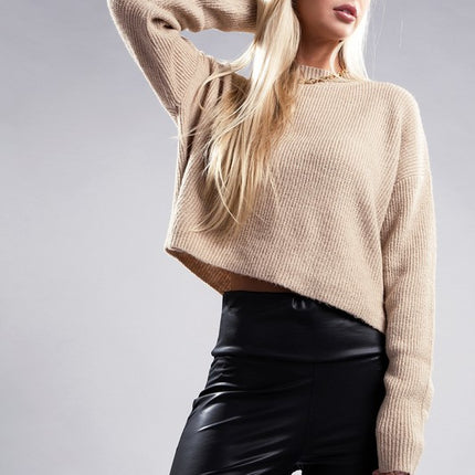 Cozy Mock Neck Long Sleeve Pullover Sweater