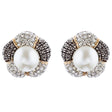 Sophisticated Classic Gorgeous Two-Tone Crystal Rhinestone Earrings E994 GDSV